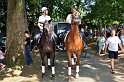 Polizeidirektion   135